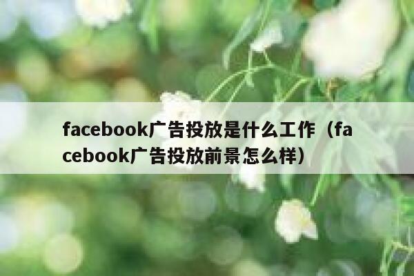 facebook广告投放是什么工作（facebook广告投放前景怎么样） 第1张