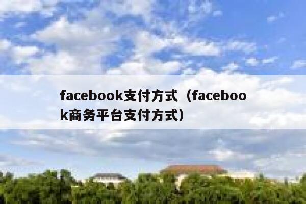facebook支付方式（facebook商务平台支付方式） 第1张