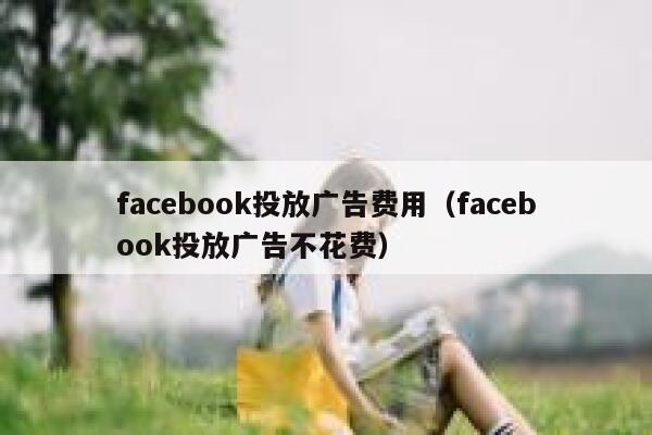 facebook投放广告费用（facebook投放广告不花费） 第1张
