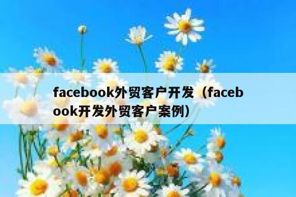 facebook外贸客户开发（facebook开发外贸客户案例） 第1张