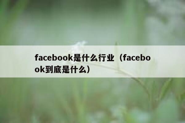 facebook是什么行业（facebook到底是什么） 第1张