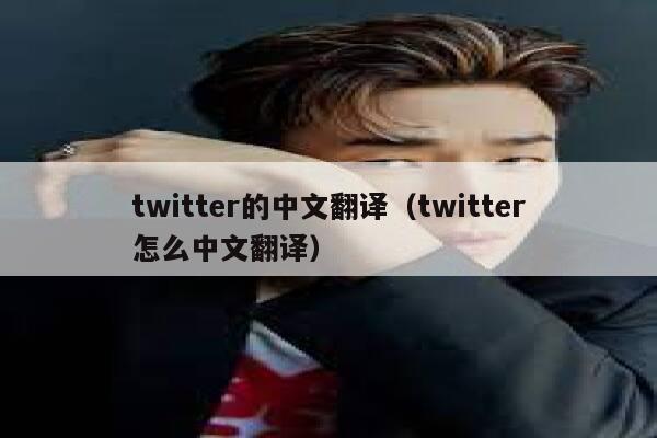 twitter的中文翻译（twitter怎么中文翻译） 第1张