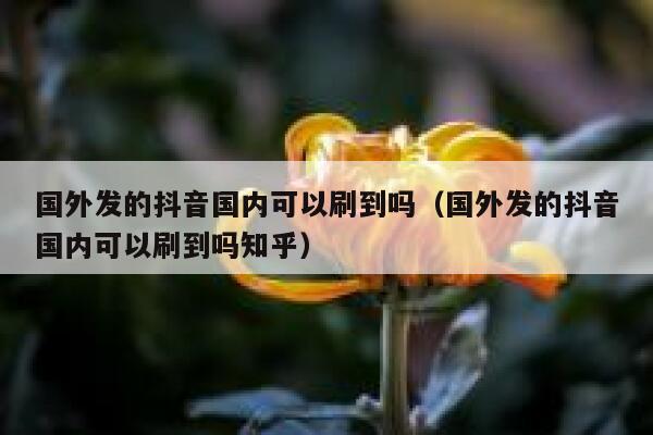 国外发的抖音国内可以刷到吗（国外发的抖音国内可以刷到吗知乎） 第1张