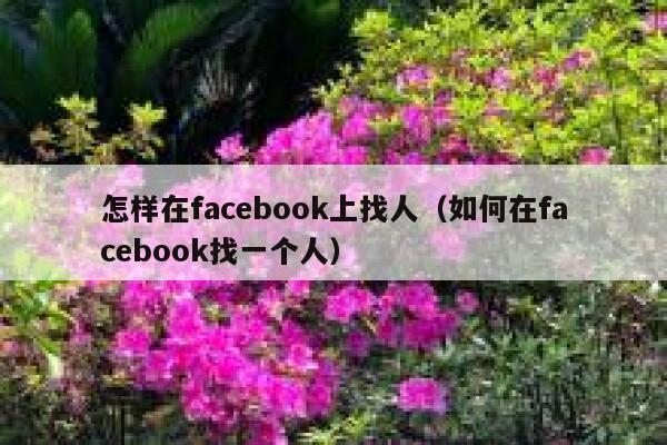 怎样在facebook上找人(如何在facebook找一个人) 第1张 怎样在facebook上找人(如何在facebook找一个人) 第1张
