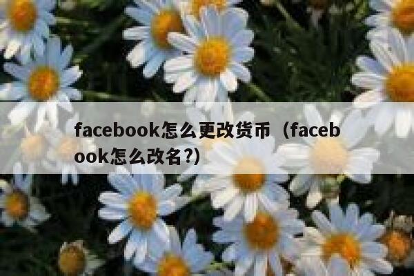 facebook怎么更改货币(facebook怎么改名?) 第1张 facebook怎么更改货币(facebook怎么改名?) 第1张