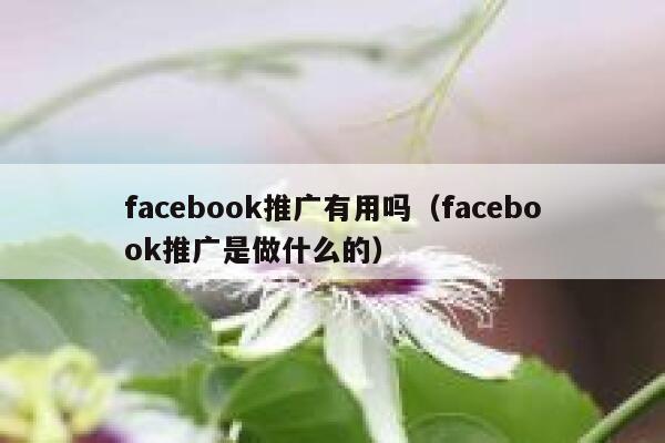 facebook推广有用吗（facebook推广是做什么的） 第1张