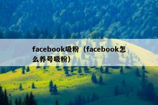 facebook吸粉(facebook怎么养号吸粉) 第1张 facebook吸粉(facebook怎么养号吸粉) 第1张