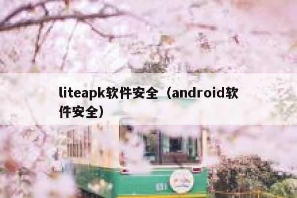 liteapk软件安全（android软件安全） 第1张