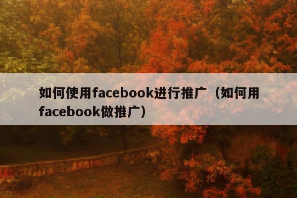 如何使用facebook进行推广（如何用facebook做推广） 第1张