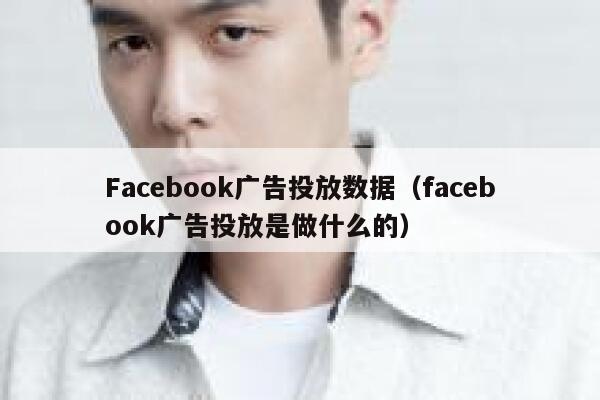 Facebook广告投放数据（facebook广告投放是做什么的） 第1张