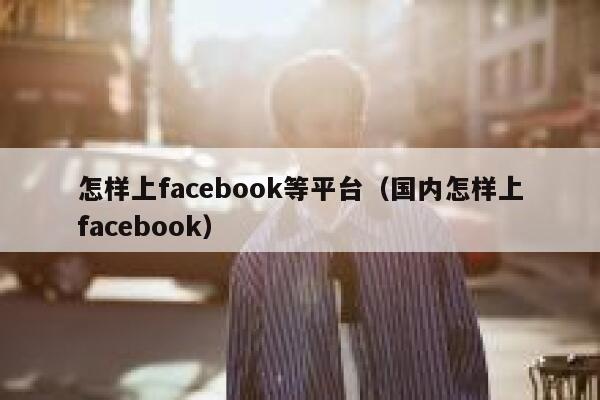 怎样上facebook等平台（国内怎样上facebook） 第1张
