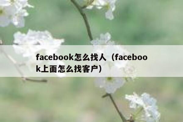 facebook怎么找人(facebook上面怎么找客户) 第1张 facebook怎么找人(facebook上面怎么找客户) 第1张