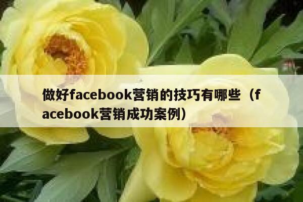 做好facebook营销的技巧有哪些(facebook营销成功案例) 第1张 做好facebook营销的技巧有哪些(facebook营销成功案例) 第1张