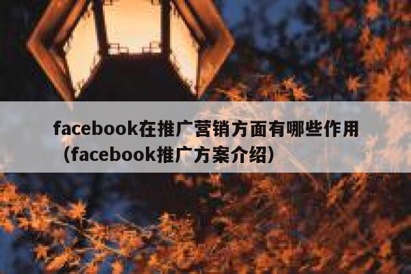 facebook在推广营销方面有哪些作用（facebook推广方案介绍） 第1张