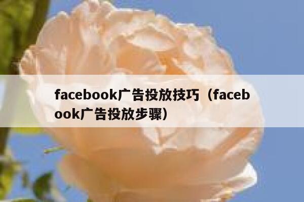 facebook广告投放技巧（facebook广告投放步骤） 第1张