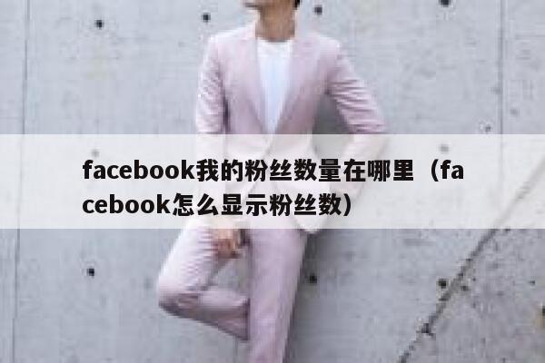 facebook我的粉丝数量在哪里（facebook怎么显示粉丝数） 第1张
