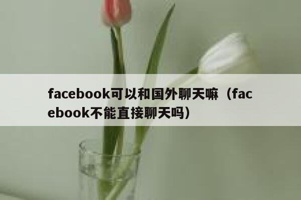 facebook可以和国外聊天嘛（facebook不能直接聊天吗） 第1张