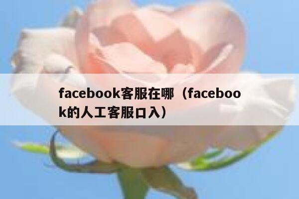 facebook客服在哪（facebook的人工客服口入） 第1张