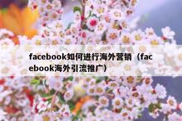 facebook如何进行海外营销（facebook海外引流推广） 第1张