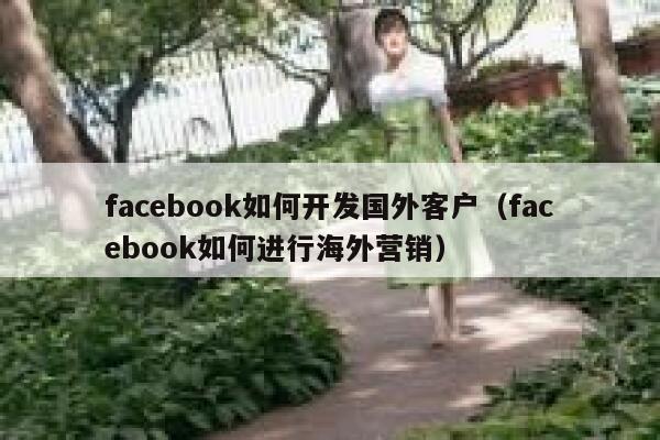 facebook如何开发国外客户（facebook如何进行海外营销） 第1张
