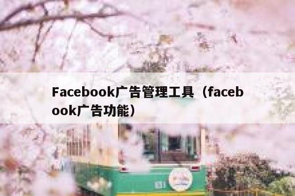 Facebook广告管理工具（facebook广告功能） 第1张