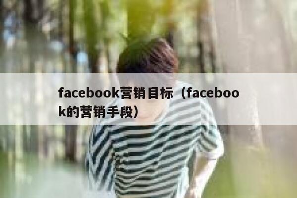 facebook营销目标(facebook的营销手段) 第1张 facebook营销目标(facebook的营销手段) 第1张