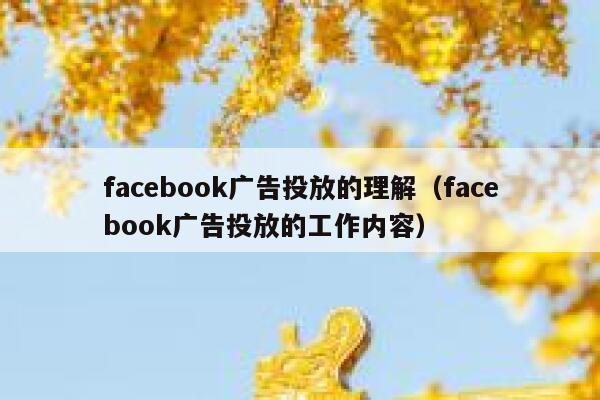 facebook广告投放的理解（facebook广告投放的工作内容） 第1张