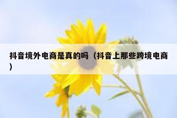 抖音境外电商是真的吗（抖音上那些跨境电商） 第1张