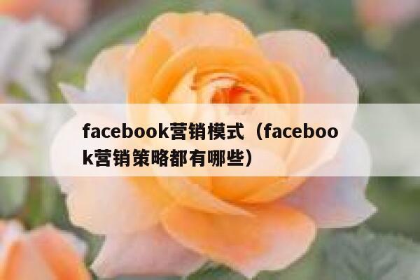 facebook营销模式（facebook营销策略都有哪些） 第1张