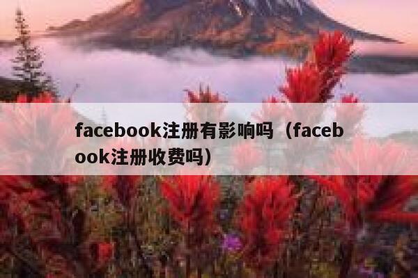 facebook注册有影响吗（facebook注册收费吗） 第1张