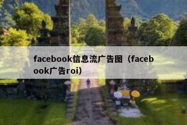 facebook信息流广告图（facebook广告roi） 第1张