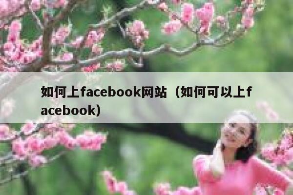 如何上facebook网站（如何可以上facebook） 第1张