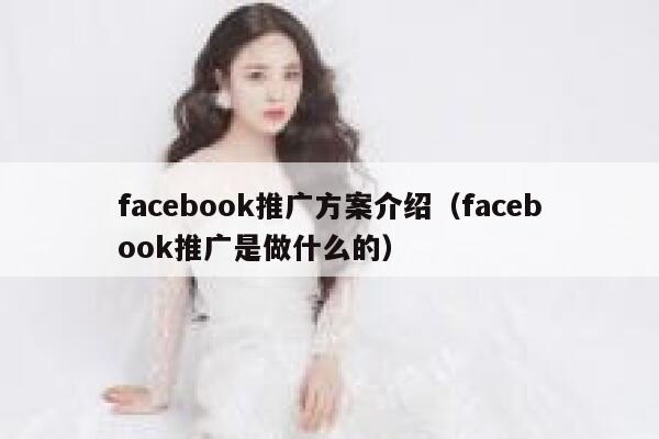 facebook推广方案介绍(facebook推广是做什么的) 第1张 facebook推广方案介绍(facebook推广是做什么的) 第1张