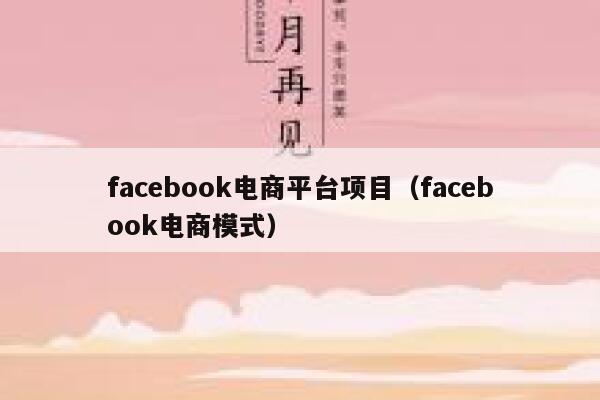 facebook电商平台项目（facebook电商模式） 第1张