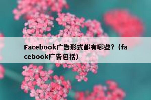 Facebook广告形式都有哪些?（facebook广告包括） 第1张