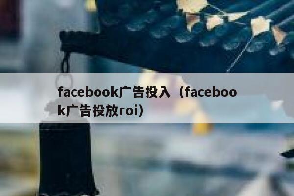 facebook广告投入（facebook广告投放roi） 第1张