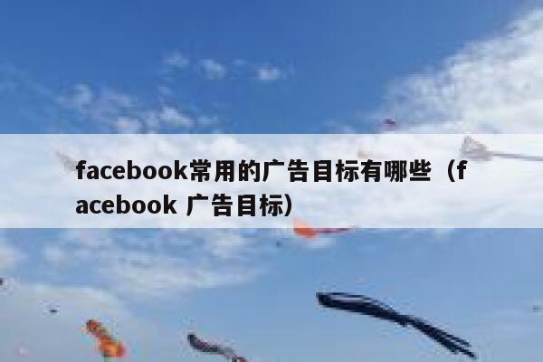 facebook常用的广告目标有哪些（facebook 广告目标） 第1张