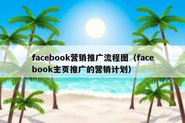facebook营销推广流程图（facebook主页推广的营销计划） 第1张