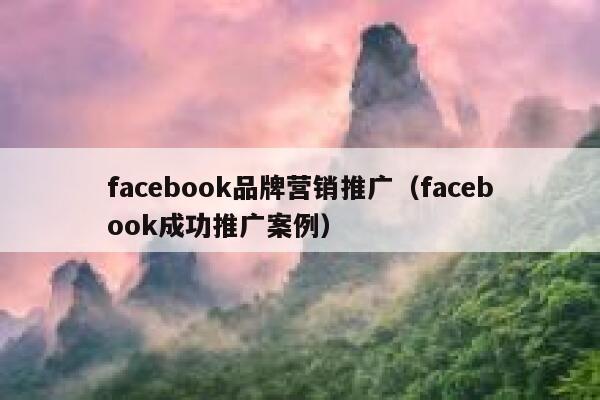 facebook品牌营销推广（facebook成功推广案例） 第1张