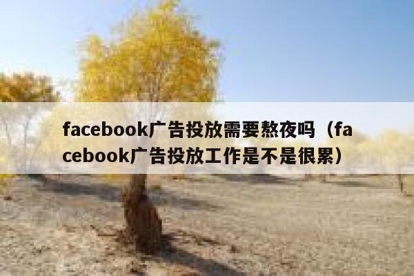 facebook广告投放需要熬夜吗（facebook广告投放工作是不是很累） 第1张