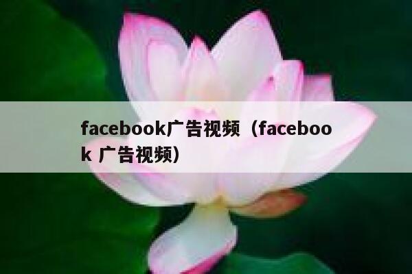 facebook广告视频（facebook 广告视频） 第1张