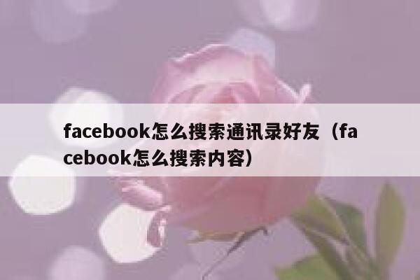 facebook怎么搜索通讯录好友（facebook怎么搜索内容） 第1张