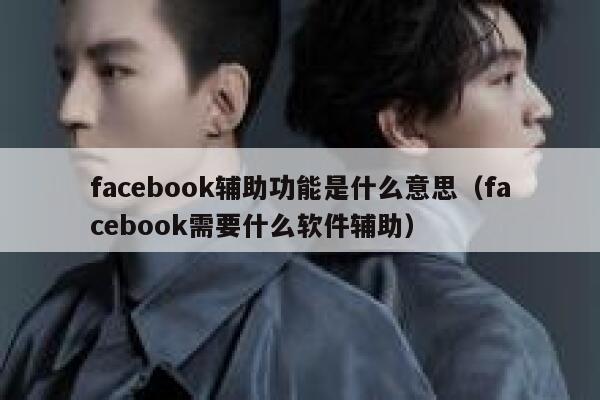 facebook辅助功能是什么意思（facebook需要什么软件辅助） 第1张