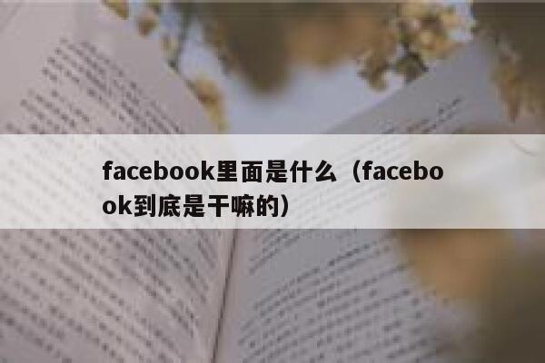 facebook里面是什么（facebook到底是干嘛的） 第1张