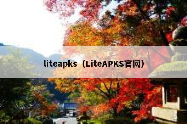 liteapks（LiteAPKS官网） 第1张