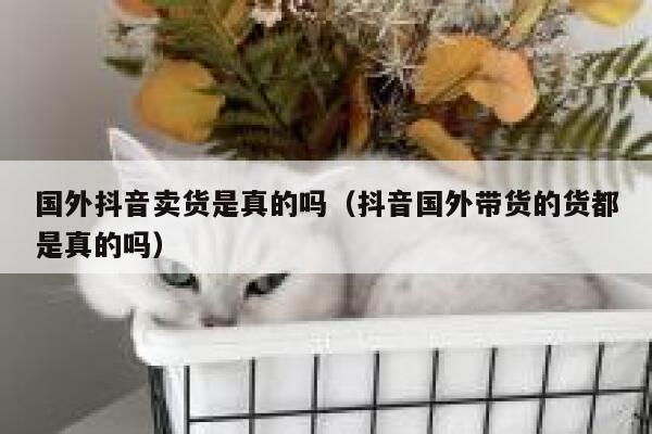 国外抖音卖货是真的吗（抖音国外带货的货都是真的吗） 第1张