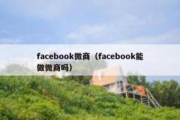 facebook微商（facebook能做微商吗） 第1张