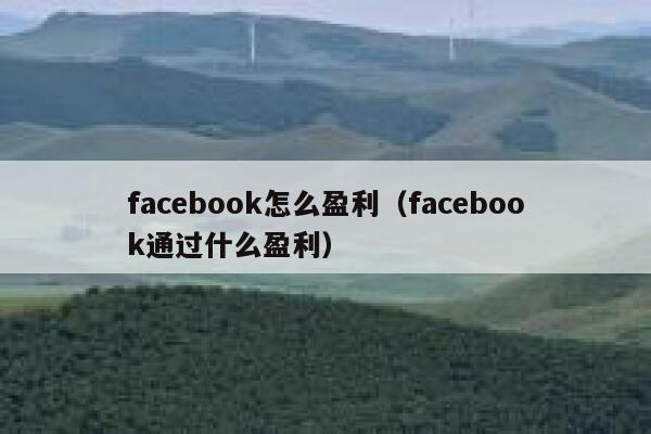 facebook怎么盈利（facebook通过什么盈利） 第1张