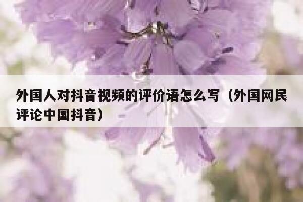外国人对抖音视频的评价语怎么写（外国网民评论中国抖音） 第1张