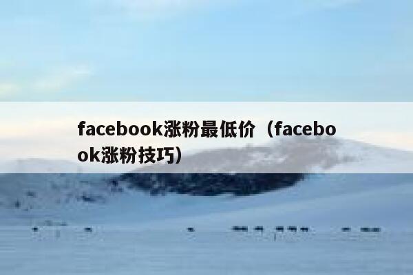 facebook涨粉最低价（facebook涨粉技巧） 第1张